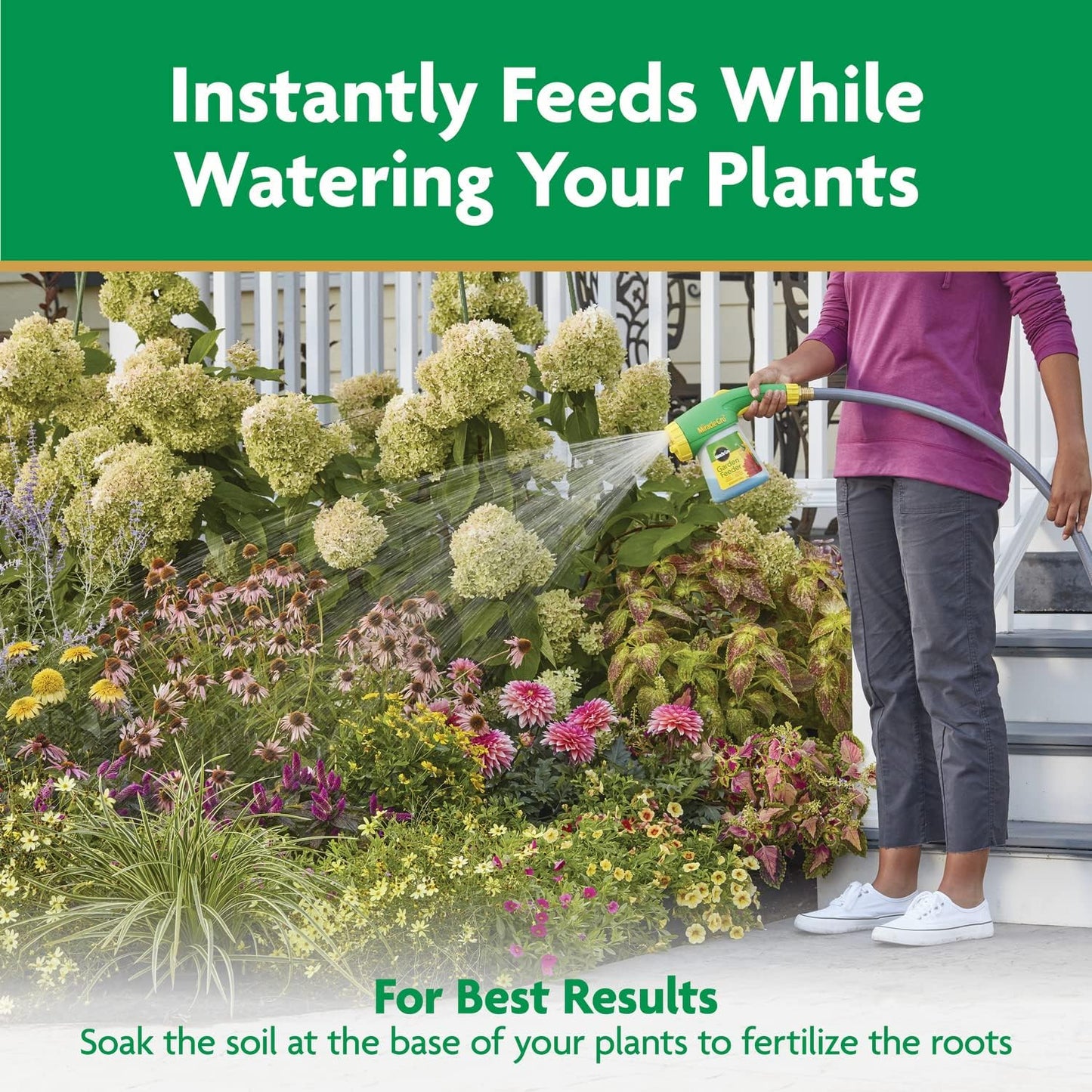 Miracle-Gro All-Purpose Plant Food - Water Soluble Fertilizer for Indoor & Outdoor Plants | 5.5 lbs