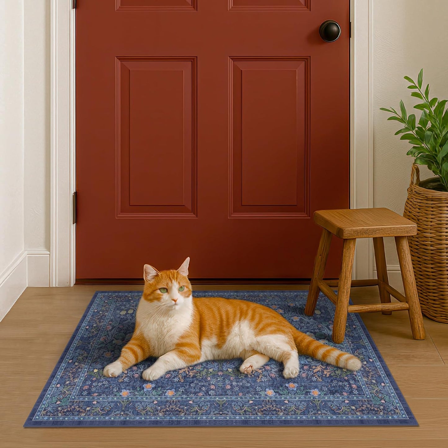 Regine Switzerland Navy Blue Washable Entry Rug - Non-Slip 2x3 Front Door Mat for Indoor Use
