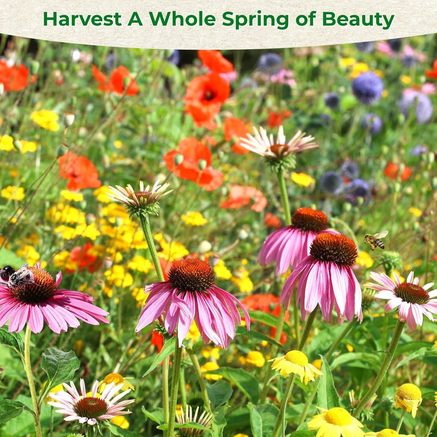 Wildflower Seeds by 160000+ | 4oz Assortment of Sunflower, Lavender, Zinnia & More - Attracts Bees & Butterflies, Easy to Grow