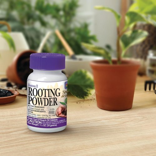 Bonide Bontone II Rooting Powder - 1.25 oz Ready-to-Use Dust for Faster Root Development in Houseplants