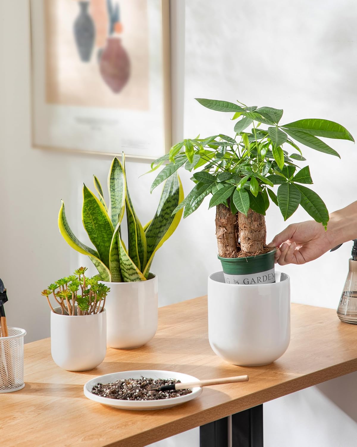 Vancasso Ceramic Plant Pots - Set of 3 (4", 5", 6") | Modern Indoor Planters with Drainage Holes - White