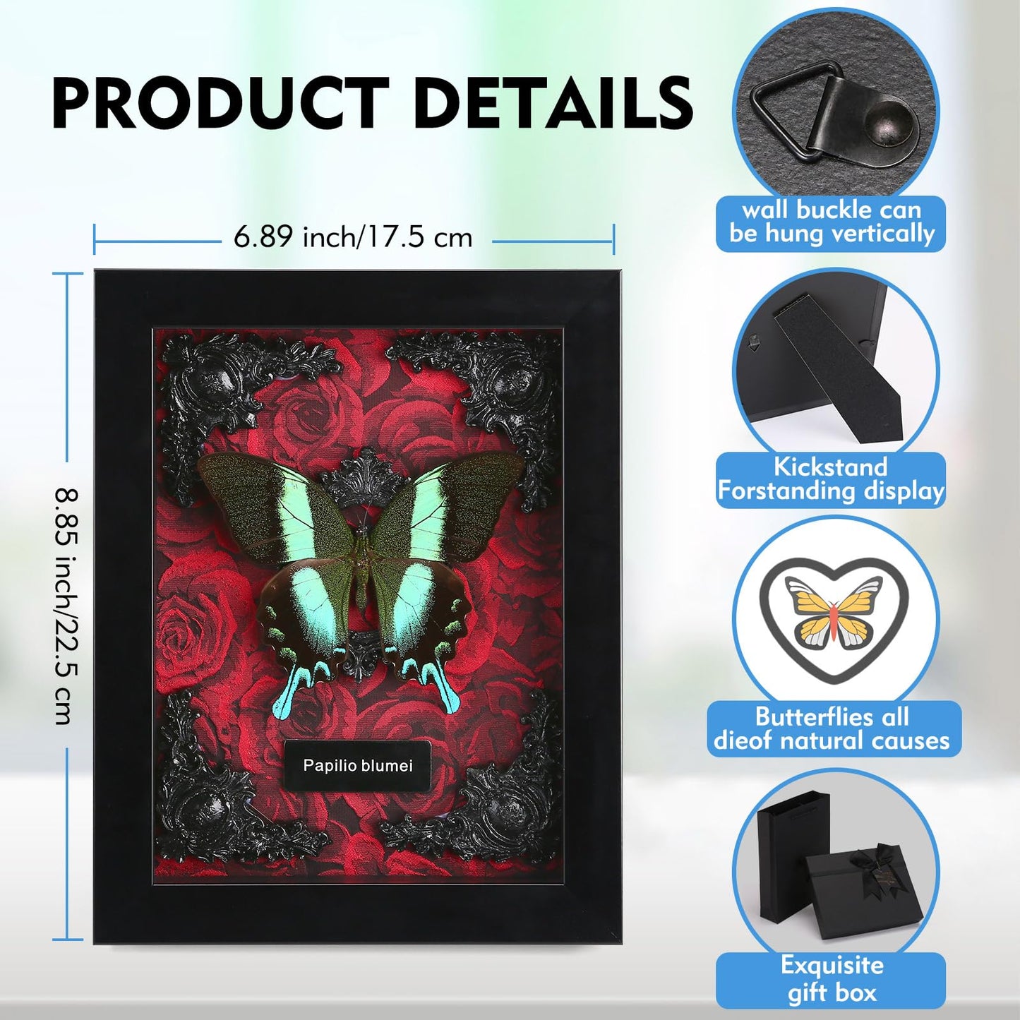 Real Butterfly Framed Butterfly Taxidermy - Butterfly Shadow Box, Taxidermy Animals for Oddities and Curiosities Gifts (M_Peacock Green Swallowtail Red Background #1)