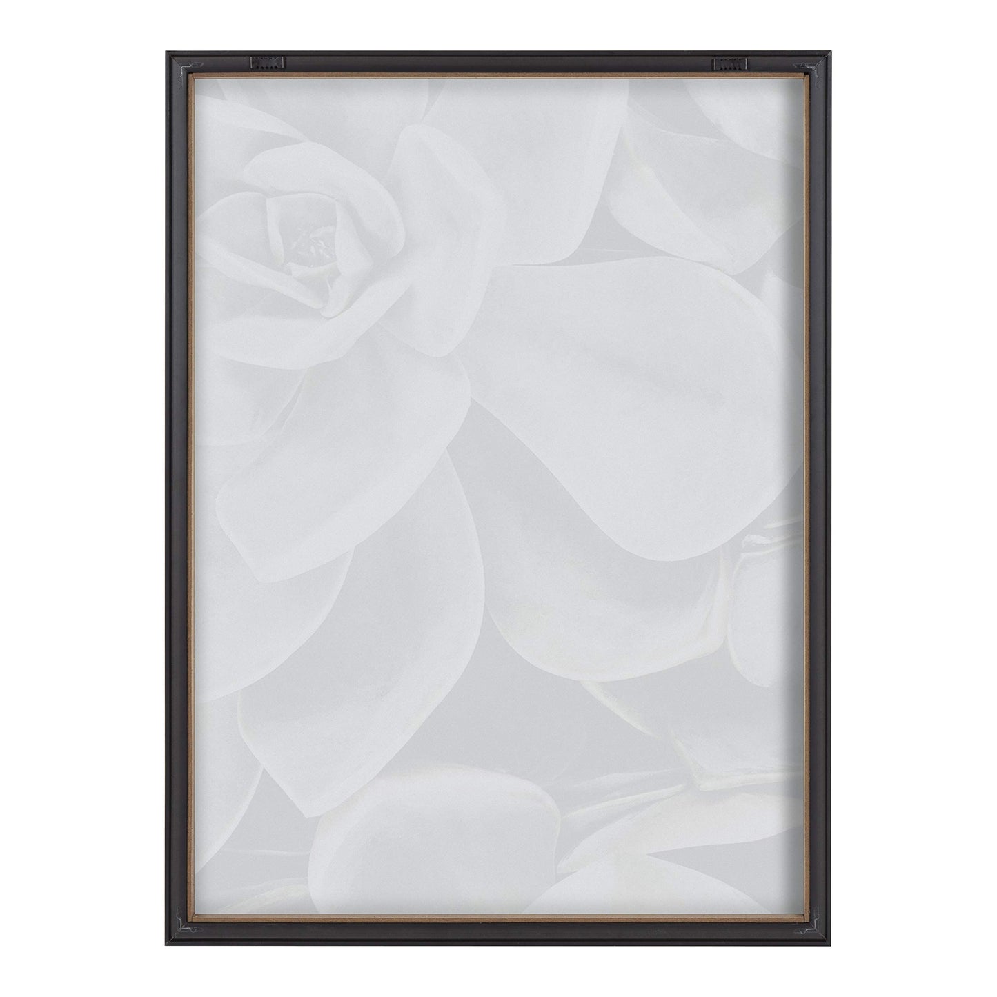 Kate and Laurel Blake Botanical Succulent Plants 2 Framed Printed Glass Wall Art by The Creative Bunch Studio, 18x24 Gray, Succulent Art for Wall