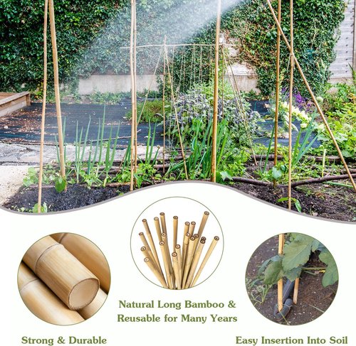 HAINANSTRY 3FT Bamboo Plant Stakes - 25Pcs Sturdy Support for Indoor/Outdoor Climbing Plants
