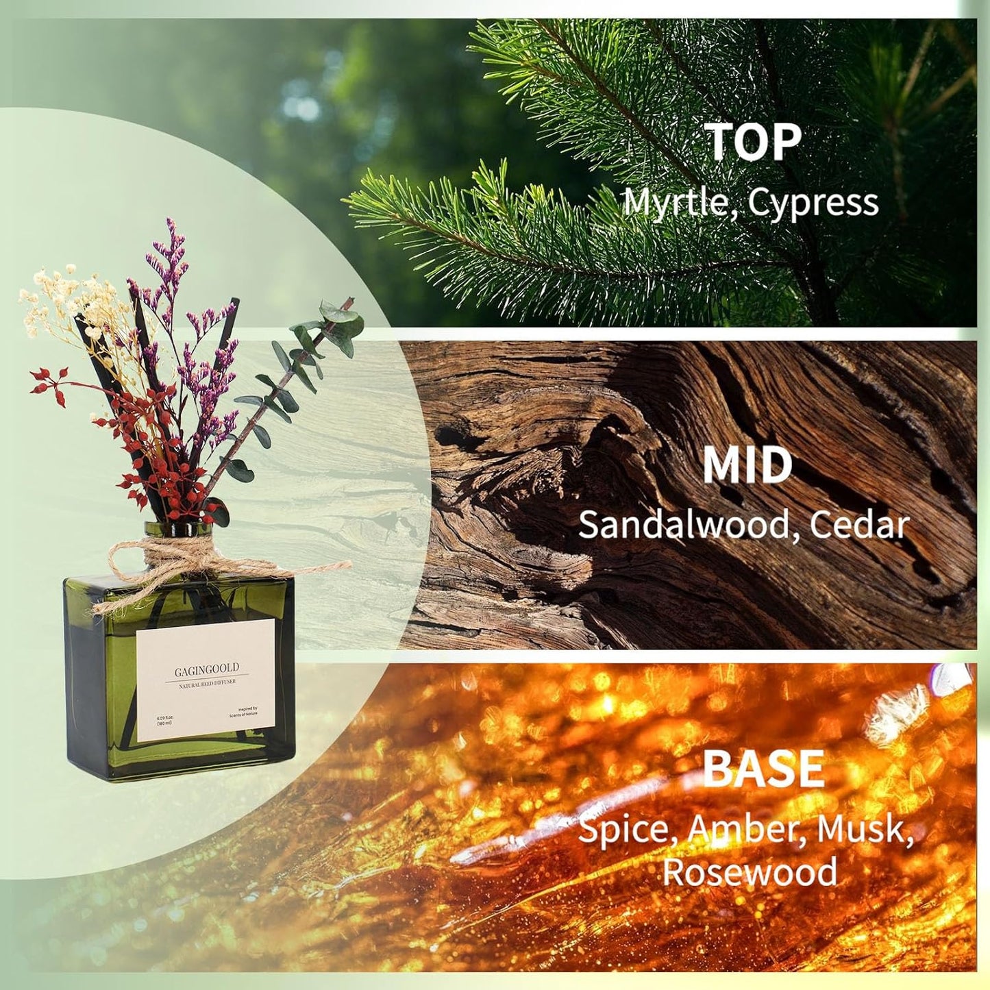 Reed | Earthy Sandalwood Scented Diffuser by [Brand Name] - 6.09 oz with Sticks & Dried Flowers, Lasts 120 Days