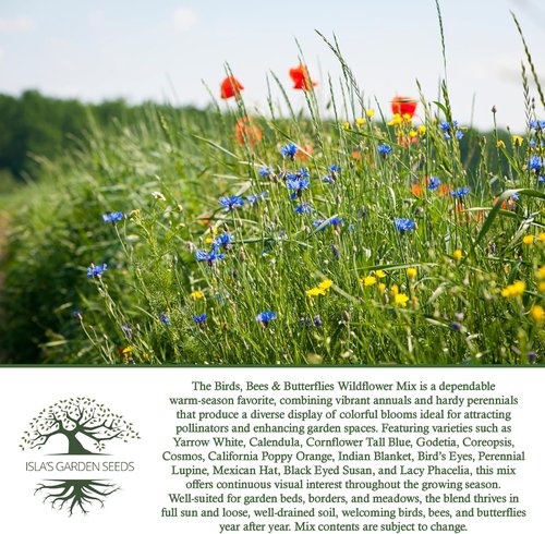 Isla’s Garden Seeds Wildflower Mix – 500+ Non-GMO Heirloom Seeds for Colorful Pollinator Gardens