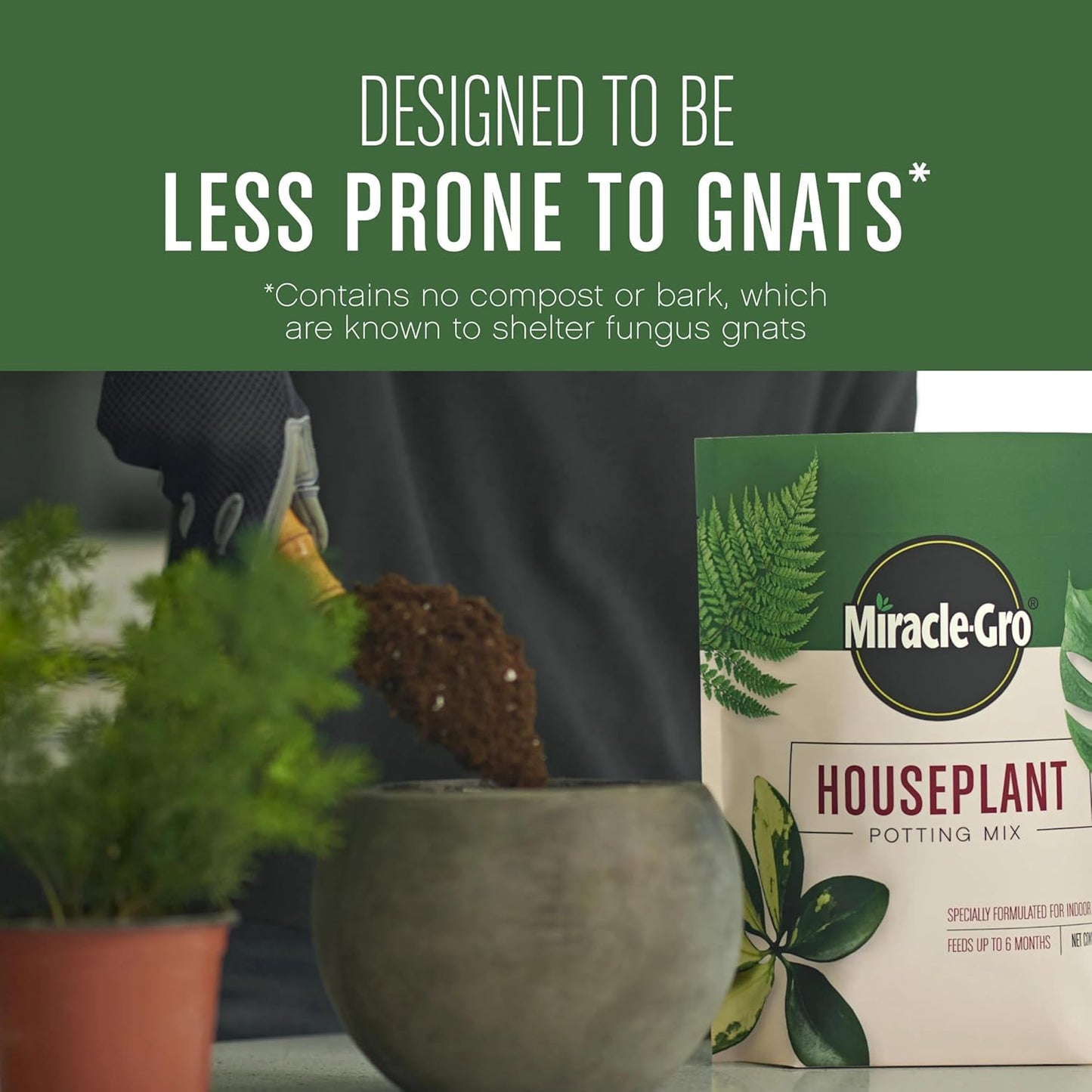 Miracle-Gro Houseplant Potting Mix - Fertilized Indoor Soil for Containers | Less Gnats, 4 Qt