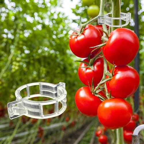 Dalzom® Tomato Clips - 300 Pcs Plastic Trellis Support for Healthy Grape & Vegetable Plants