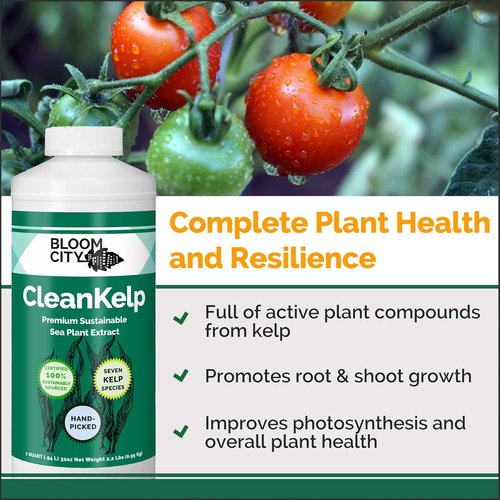Bloom City Seaweed & Kelp Fertilizer - Liquid Supplement for Stronger Roots & Faster Growth | 8 oz