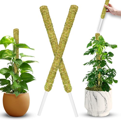 DUSPRO Natural Stackable Moss Pole - Monstera Plant Support Sticks | 22" Handmade Indoor Plant Stakes (2 Pcs)