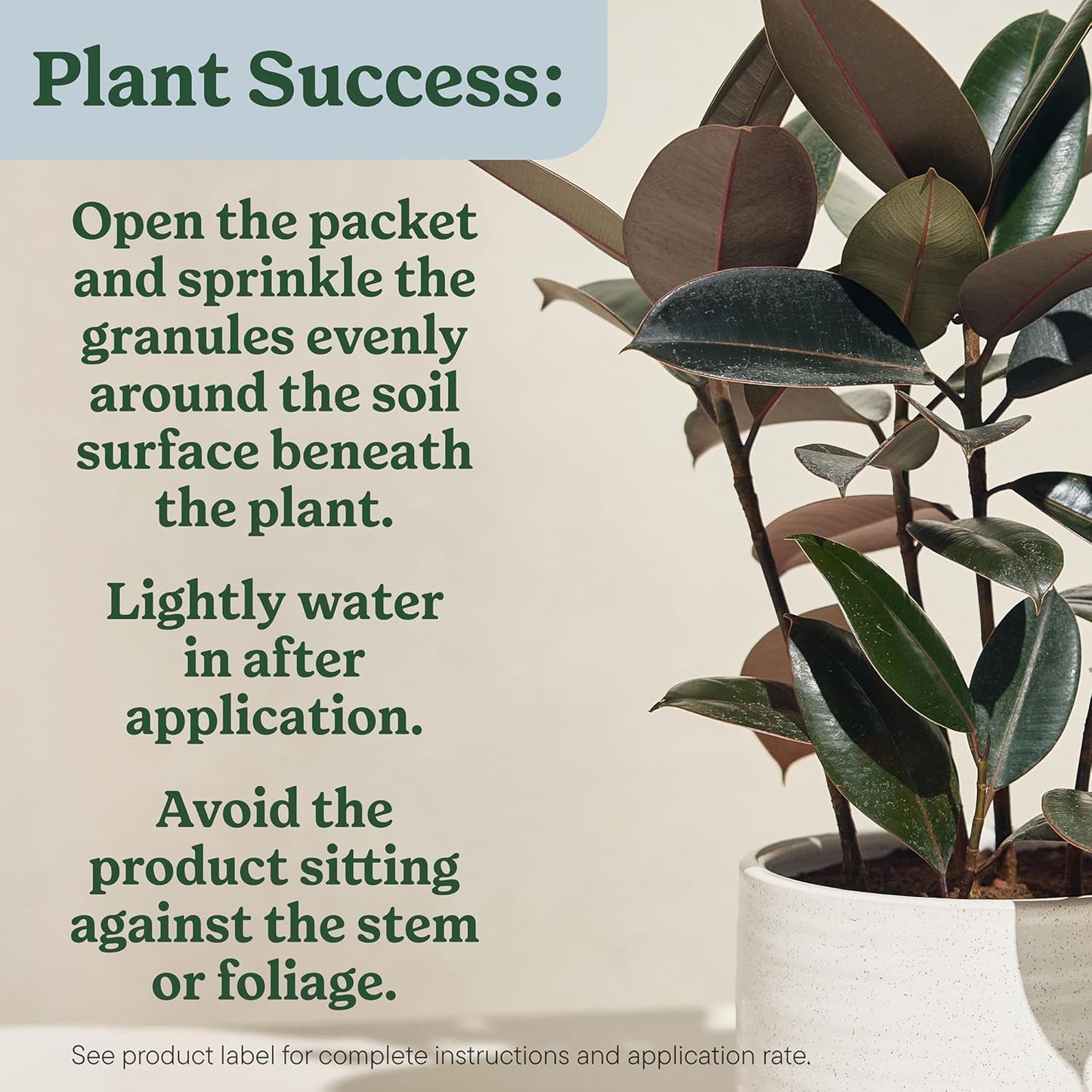 Miracle-Gro Gnat Control Plus Plant Food - Effective Indoor & Outdoor Plant Care | 4 Packets