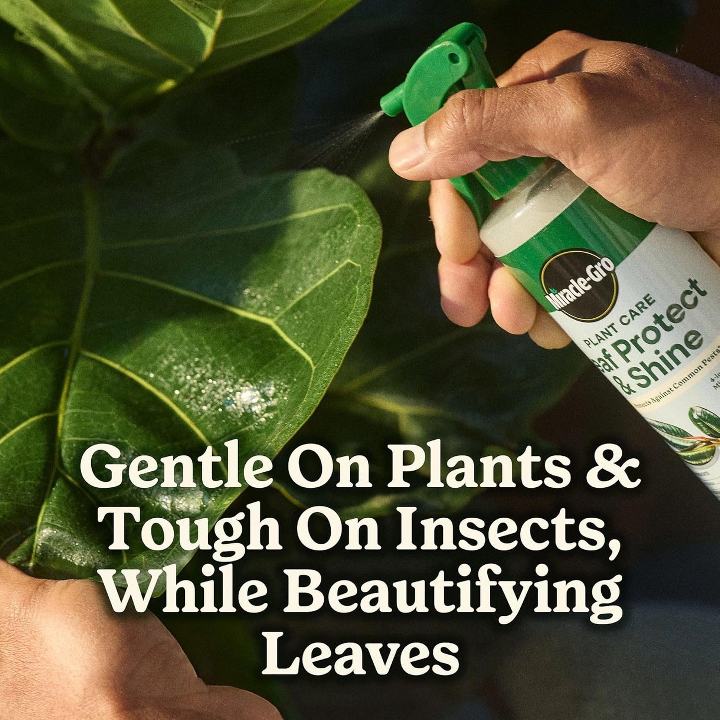 Miracle-Gro Leaf Protect & Shine Spray - 4-in-1 Insecticide, Miticide, Fungicide | 8 fl. oz., 2-Pack