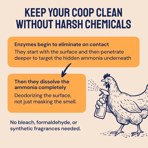 Hatortempt Chicken Coop Cleaner & Deodorizer Spray - 32 fl oz, Unscented | Ammonia Control Odor Eliminator