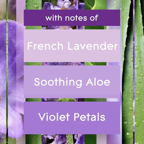 Glade PlugIns Refills Air Freshener - Tranquil Lavender & Aloe | Scented Essential Oils, 0.67 Fl Oz, 10 Count (Pack of 2)
