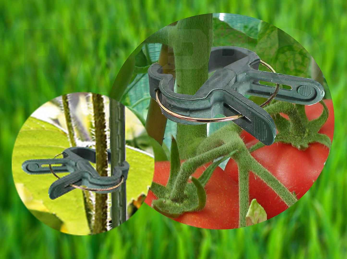 RamPro Plant Clips - 40 Piece Green Gardening Tool for Supporting Stems & Vines