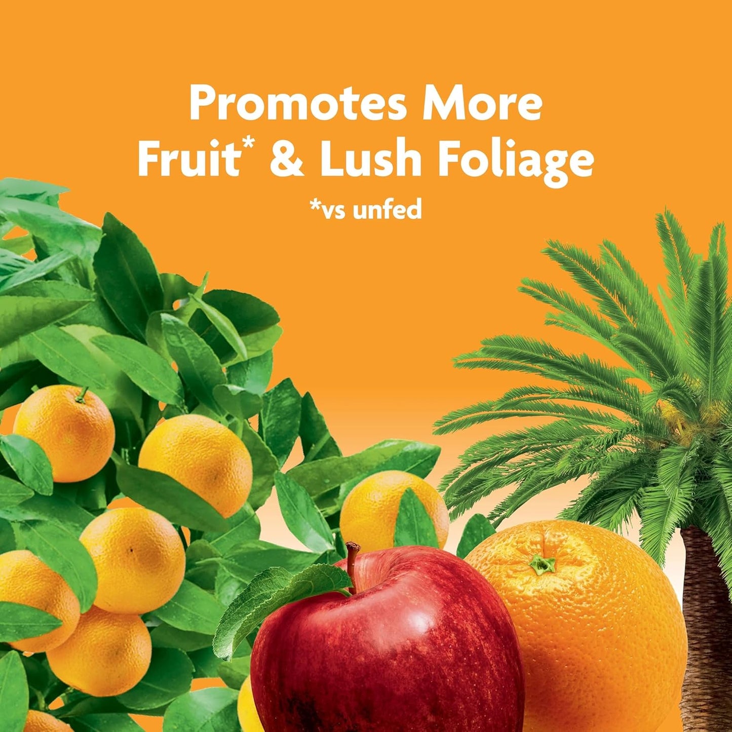 Miracle-Gro Fruit & Citrus Plant Food Spikes - Easy-To-Use Fertilizer for Healthy Trees | 12 Spikes, 3 lb.