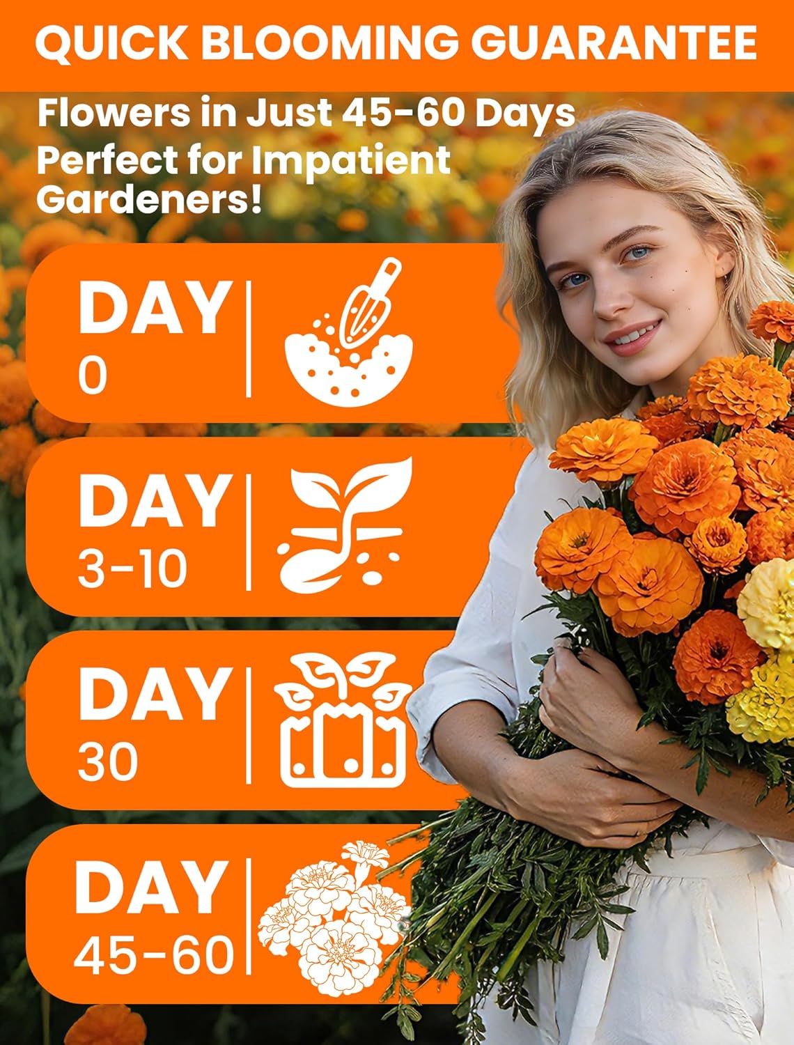 Tri-Color Marigold Seeds - 15,000+ Heirloom French Non-GMO Seeds | High Germination for Outdoor Gardens