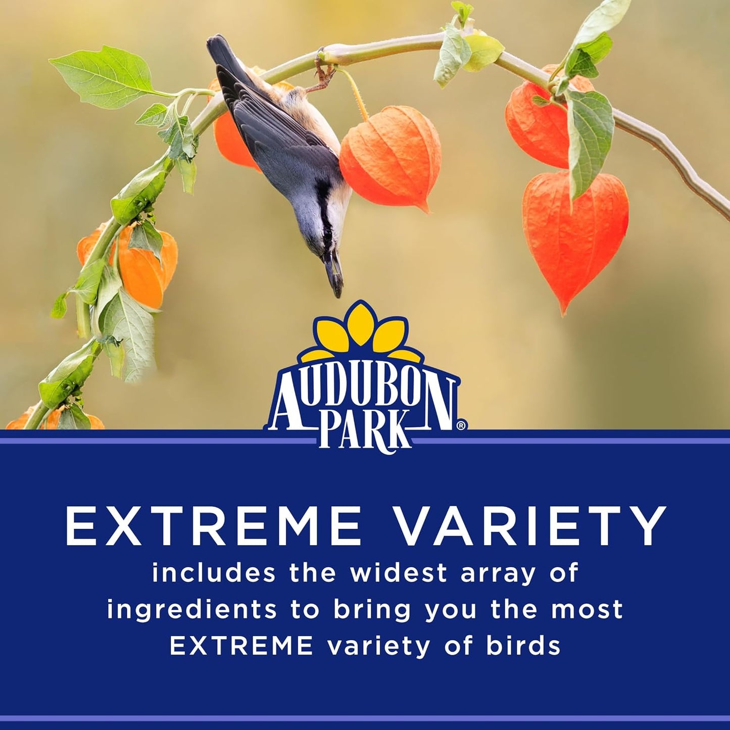 Audubon Park Wild Bird Seed - Extreme Variety Blend for Outdoor Feeders | 15 lb Bag