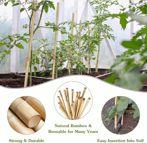 HAINANSTRY Bamboo Plant Stakes - 18 Inch Support Sticks for Indoor & Outdoor Gardening | 20 Pack