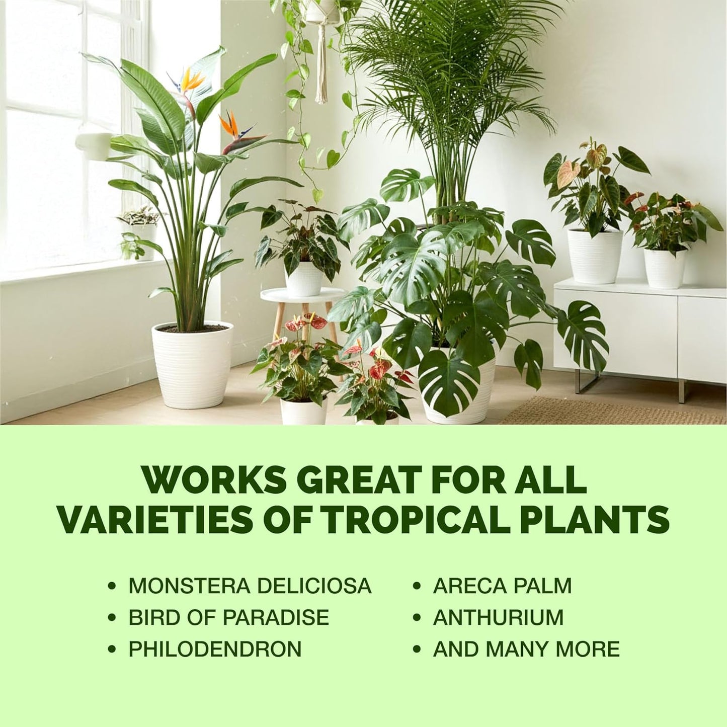 Skiennix Tropical Plant Fertilizer - Liquid Plant Food for Lush Growth & Stronger Roots, 8 oz