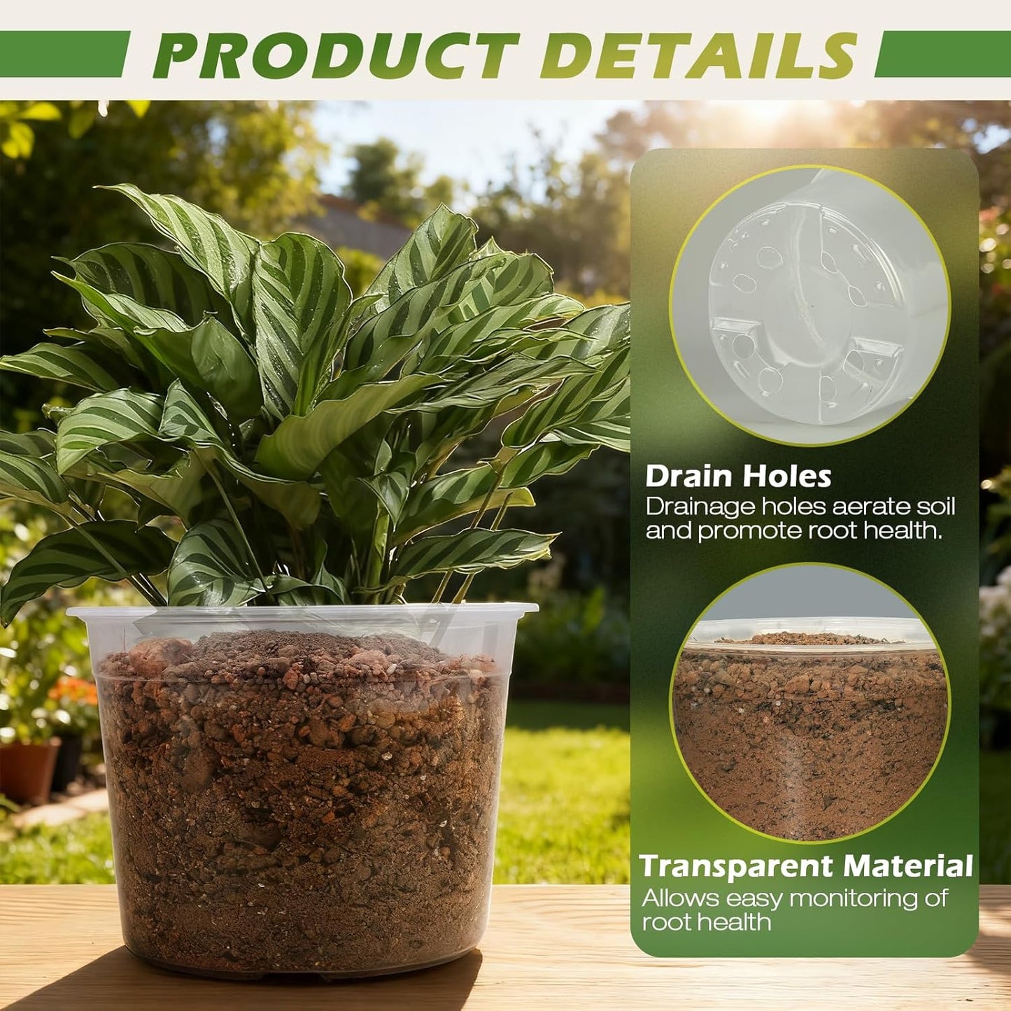 Skiennix Large Clear Nursery Pots - Durable Plastic Plant Pots with Drainage Holes | 4/6/8/10 Inch, 16 Pack