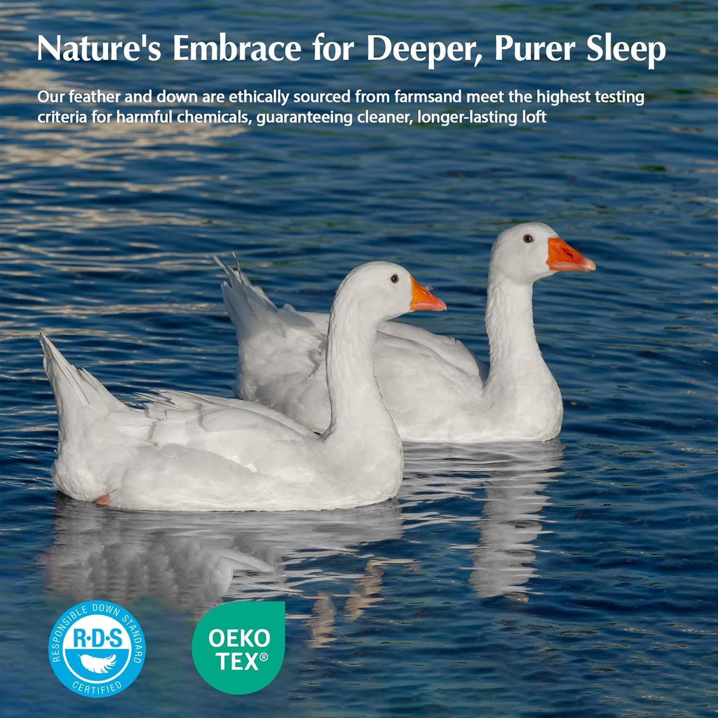 Pacific Coast Goose Feather Down Comforter - Extra Fluffy Twin Size Duvet Insert, Ultra-Soft & Breathable, All Season Luxury Bedding (68"x90")