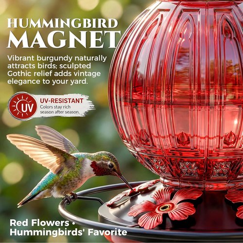 Glass Hummingbird Feeder - 24Oz Outdoor Nectar Feeder with Perch & 5 Flower Ports | Leak-Proof Garden Decor