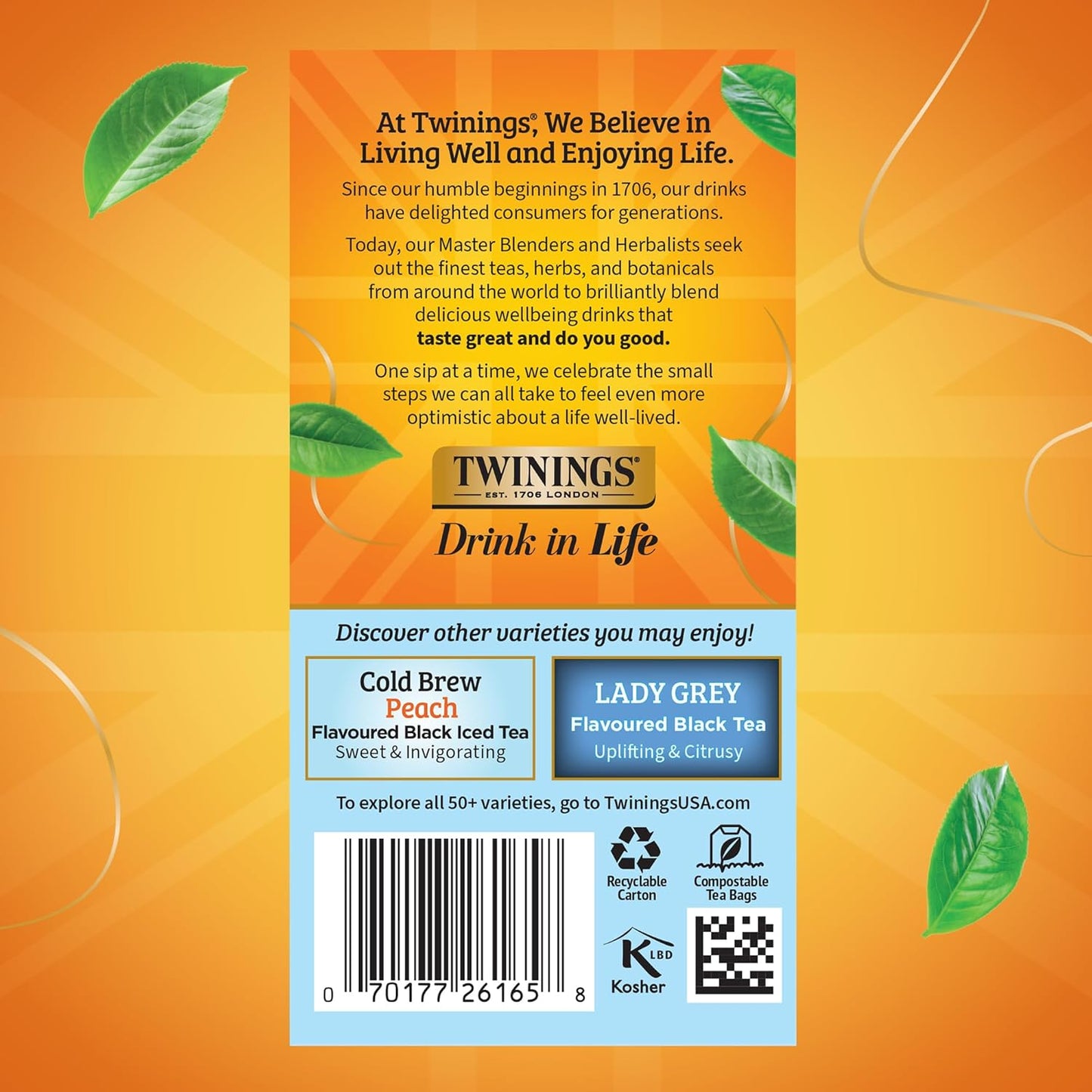 Twinings Cold Brew Iced Tea Bags - Unsweetened Black Tea, Caffeinated | 20 Count (Pack of 6)