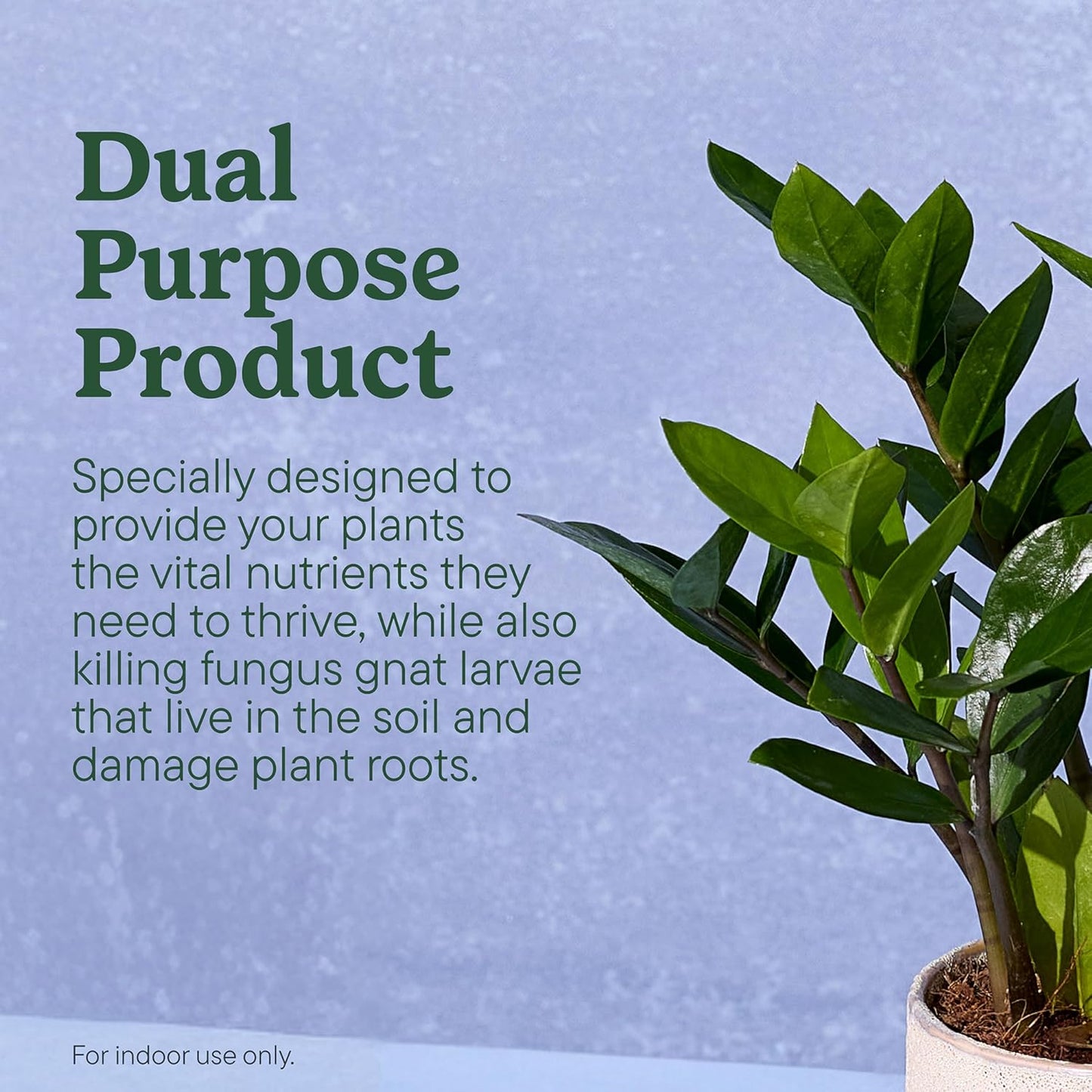 Miracle-Gro Gnat Control Plus Plant Food - Effective Indoor & Outdoor Plant Care | 4 Packets