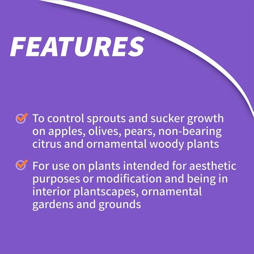 Bonide Sucker Punch - Stop Suckers Sprouting from Roots & Pruning Cuts | Ready to Use (8 oz.)
