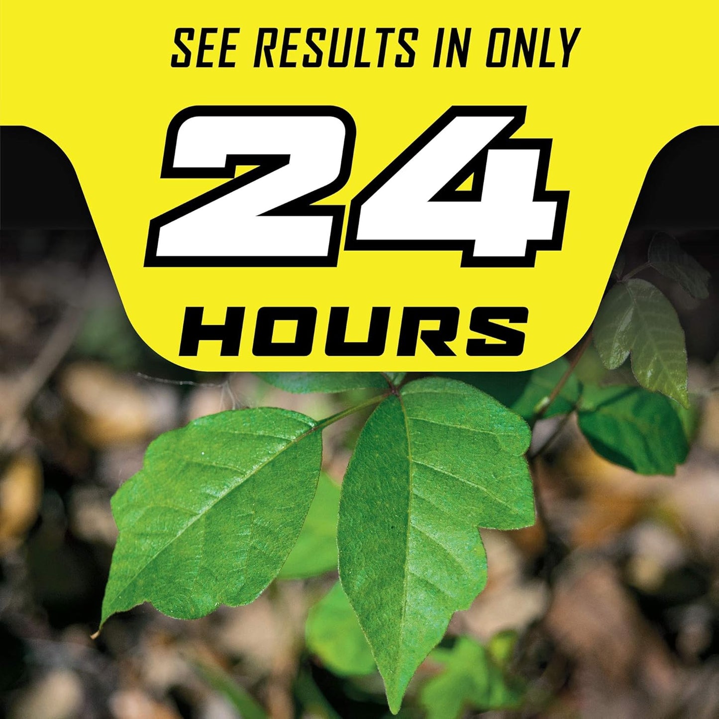 Ortho GroundClear Poison Ivy & Tough Brush Killer - Ready to Use with Comfort Wand | 1.33 Gallon