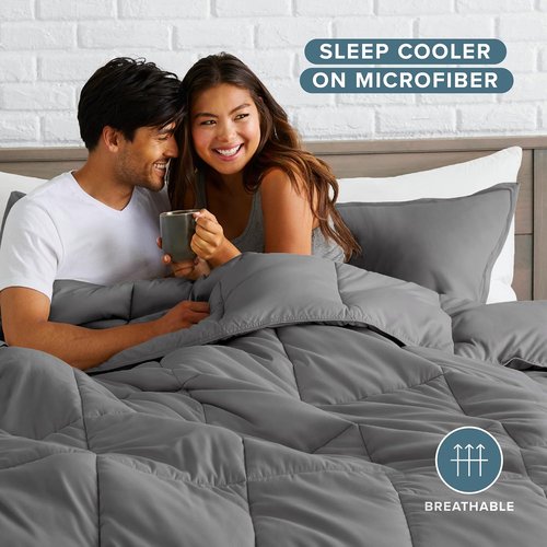 Bare Home Queen Comforter Set - Ultra-Soft Goose Down Alternative - Premium 1800 Series - All Season Warmth | Grey