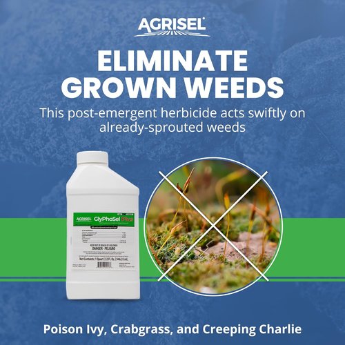Agrisel GlyPhoSel Plus Weed Killer - Long-Lasting Action for Tough Weeds | 32 Ounces + 3-Pack Gloves