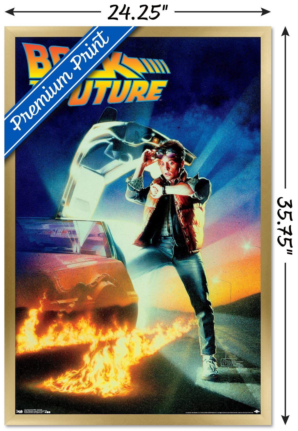 Trends International Back to the Future - One Sheet Wall Poster, 22.375" x 34", Gold Framed Version