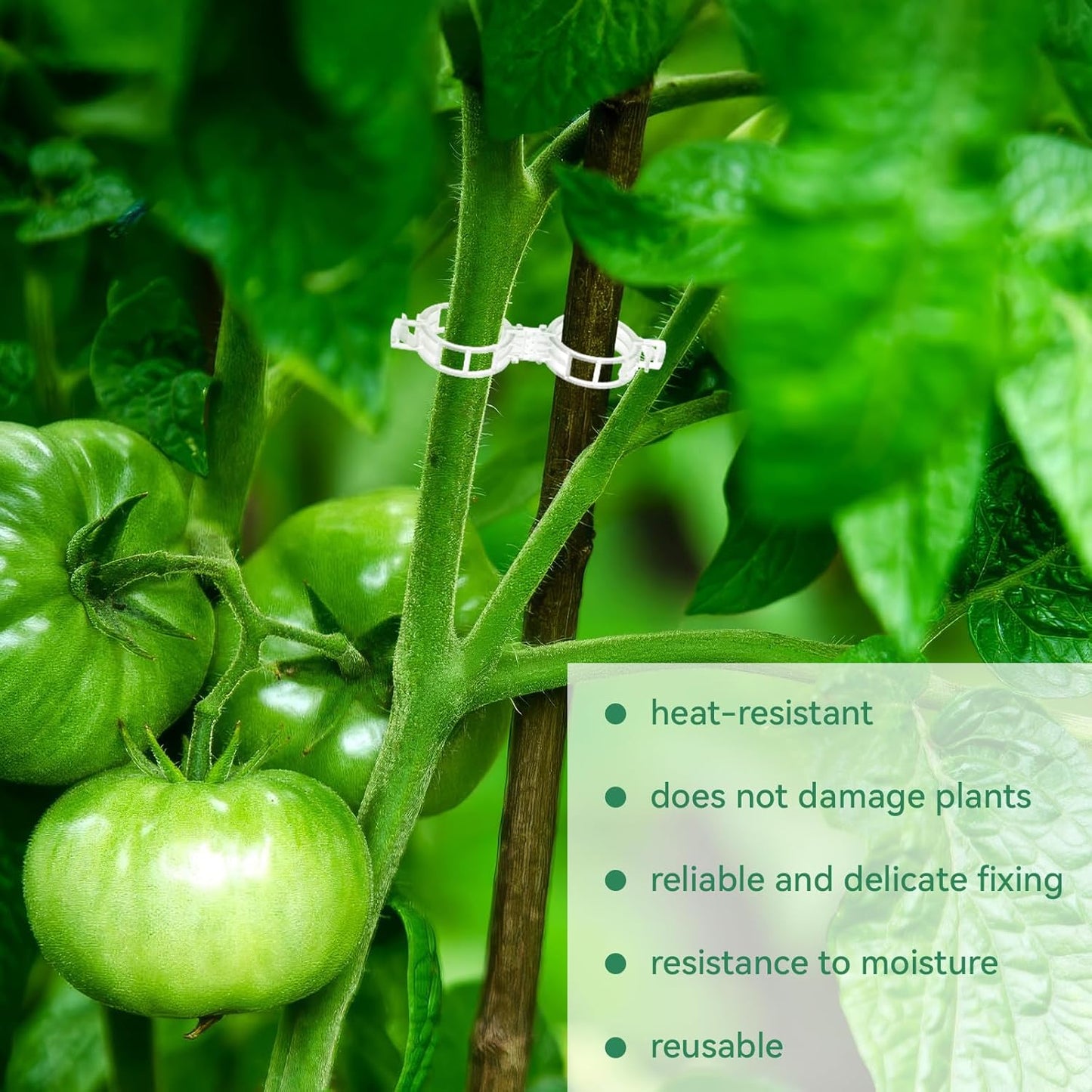 Skiennix 150 Pcs Plant Clips - Durable Support for Climbing Plants, Tomatoes & Vegetables