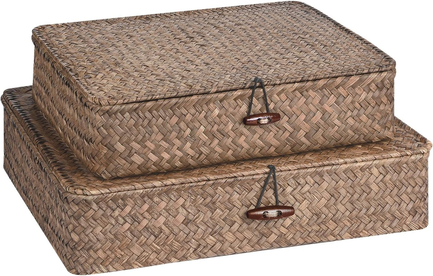 Skiennix Set of 2 Flat Seagrass Storage Bins - Woven Baskets with Lids for Home & Office Organization | Coffee Color