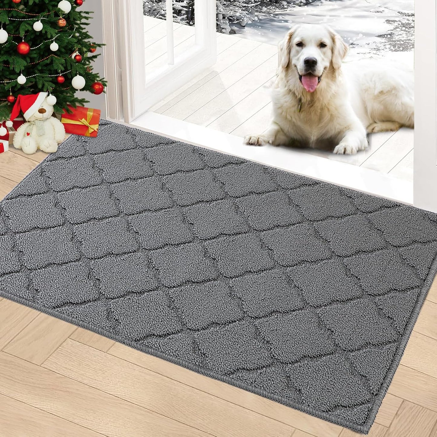 Timo Indoor Doormat - Absorbent Rubber Backing | Non-Slip 20"x32" Grey Entryway Rug