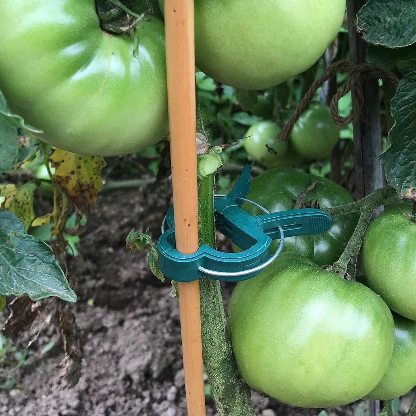 Sago Brothers 40 PCS Plant Clips - Durable Support for Tomatoes, Vines & Climbing Plants