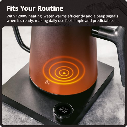 Greater Goods Electric Gooseneck Kettle, 1200W Stainless Steel with Precision Temperature Control, Fast Boil, BPA-Free, Ideal for Pour Over Coffee and Tea, 0.8L (Onyx Black)