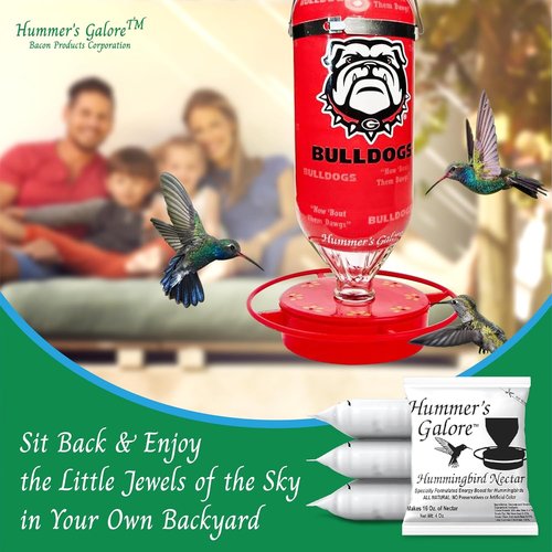 Hummer's Galore Hummingbird Food - All-Natural Ready-to-Mix Nectar, No Preservatives, 192 oz (Pack of 3)