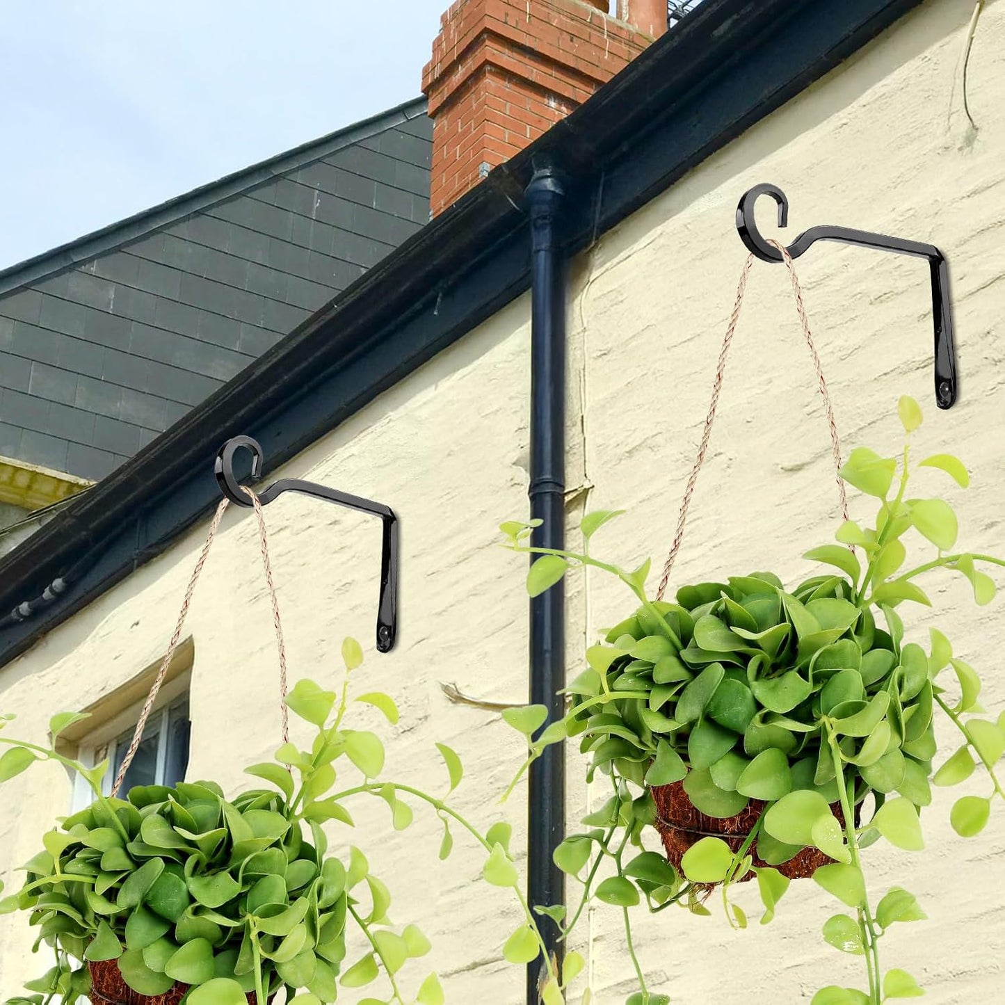 MOWPOG Plant Hangers - 6 Inch Metal Hanging Hooks for Indoor/Outdoor Use | 2 Pack in Black