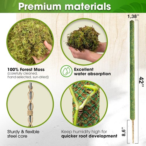 DUSPRO 42” Moss Pole - Natural Climbing Support for Monstera & Indoor Plants | Real Moss Stake