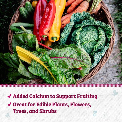 Back to the Roots 100% Organic Blood Meal - Premium Plant Nutrition for Indoor & Outdoor Gardening