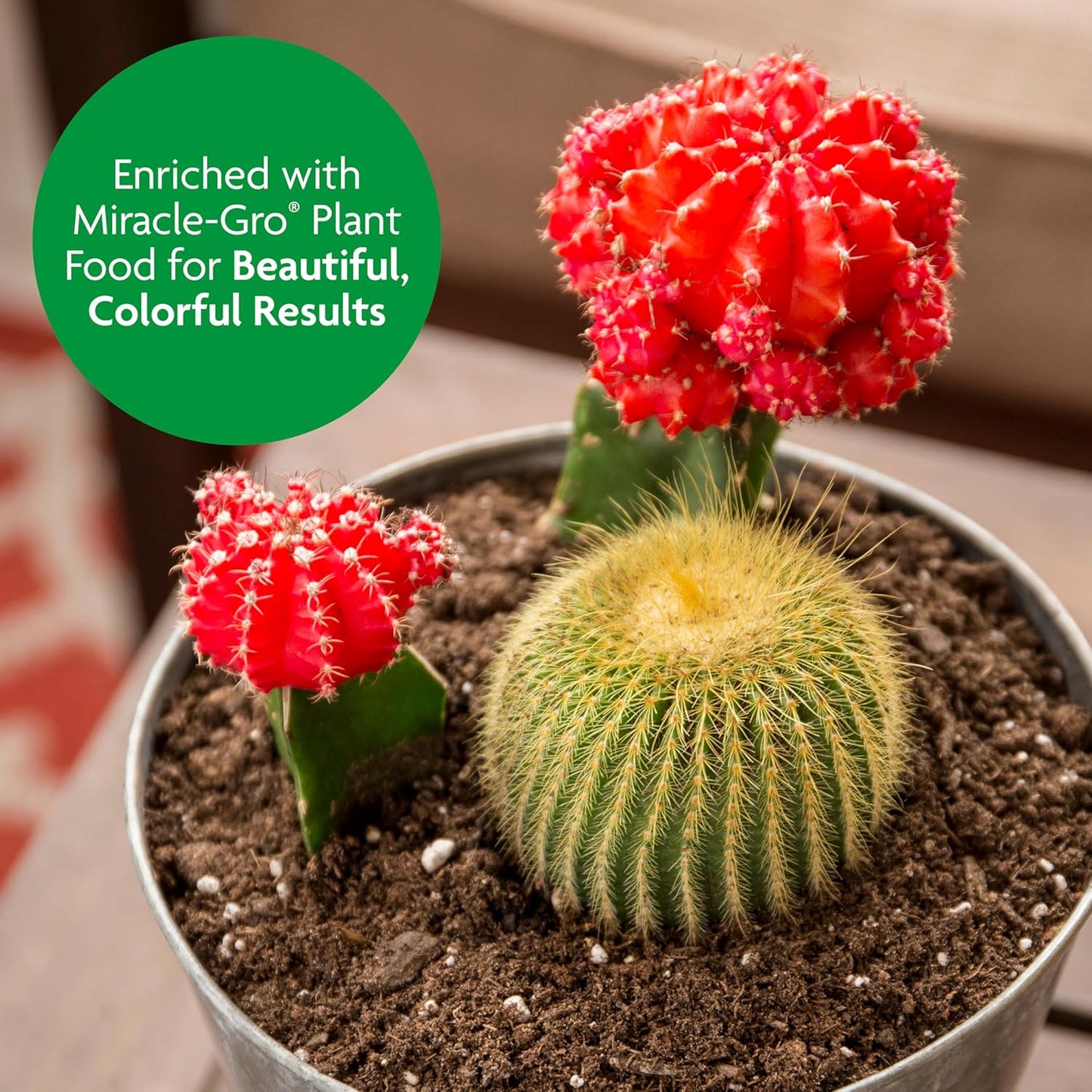 Miracle-Gro Cactus, Palm & Citrus Potting Mix - Ideal for Indoor/Outdoor Plants, 8 Qt, 2-Pack