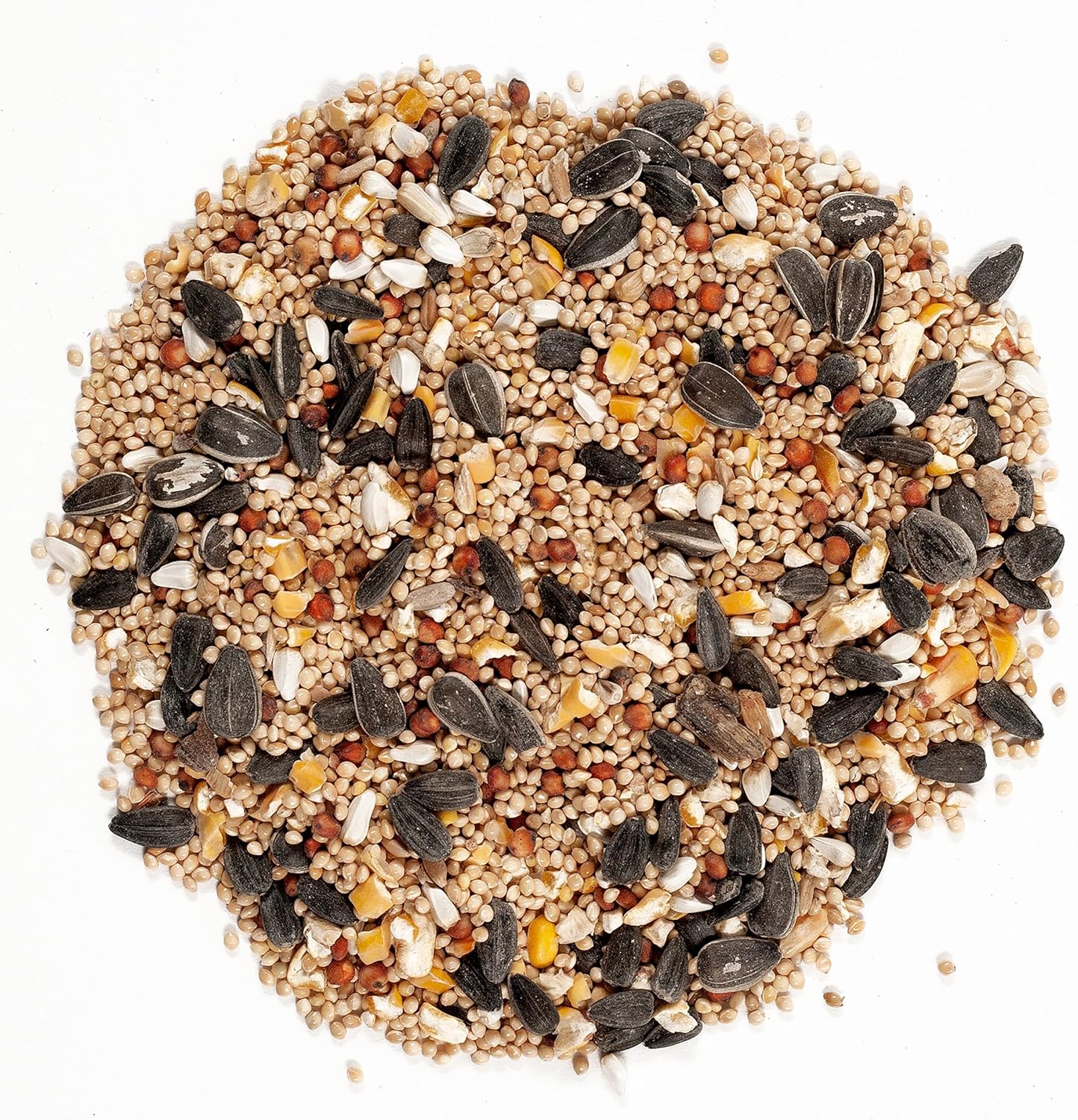 Wagner's 62004 Eastern Regional Wild Bird Food - Premium 20-Pound Bag for Backyard Birds