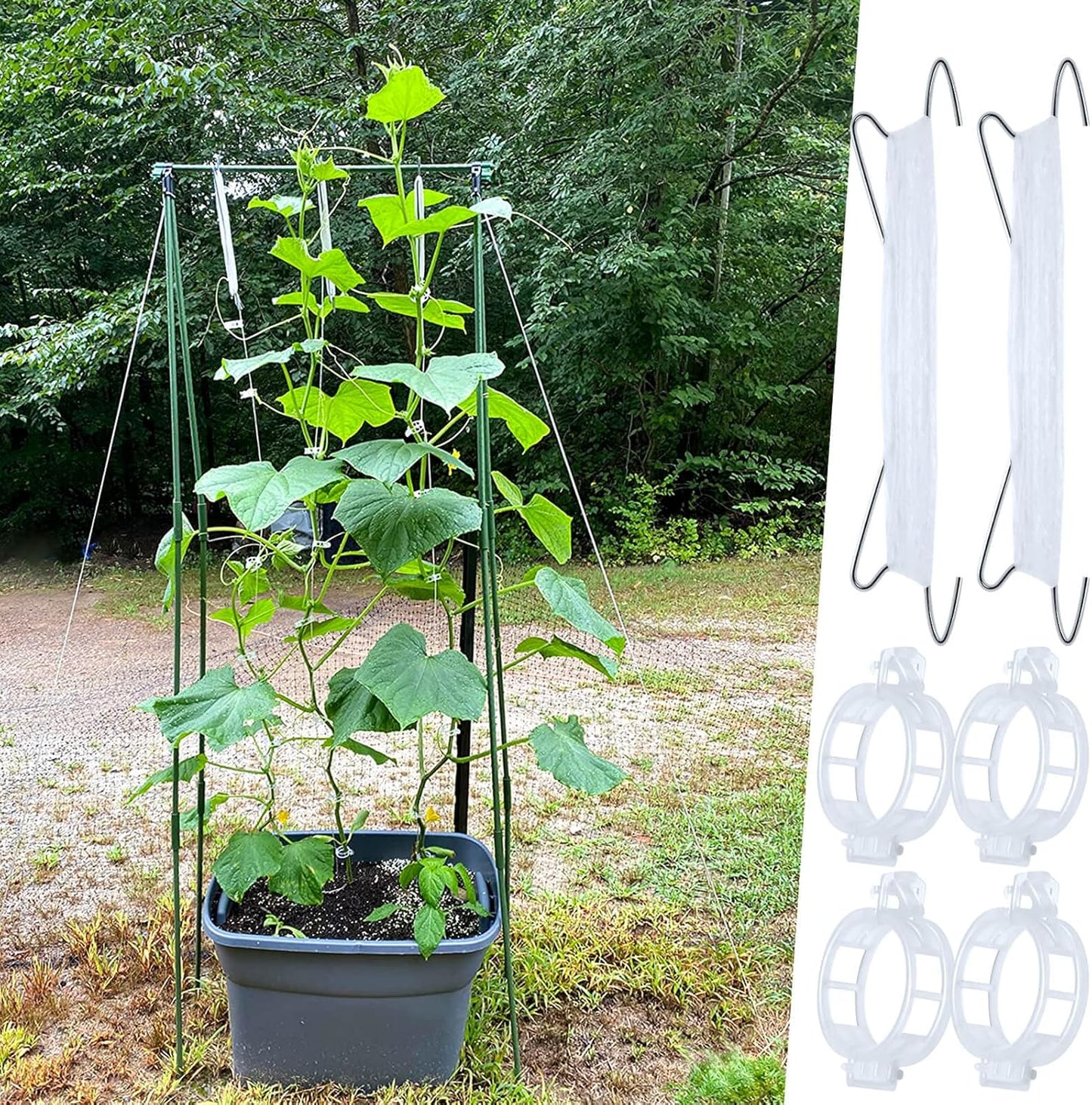 Skiennix 60Pcs Tomato Support Hooks - Durable Plant Clips with 33.3ft Twine for Secure Growth