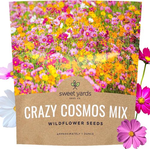 Cosmos Seeds Wildflower Mixture - Bulk 1 Ounce Packet with 5,000+ Colorful Seeds | Pink, Yellow, Orange, Red, Purple, White