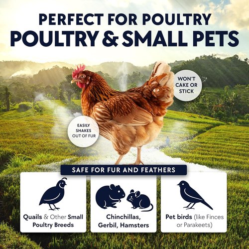 Billy Buckskin Co. Chickie-Whiz Chicken Dust Bath - All-Natural Volcanic Ash for Healthier Eggs & Feathers | 5.5lb Made in USA