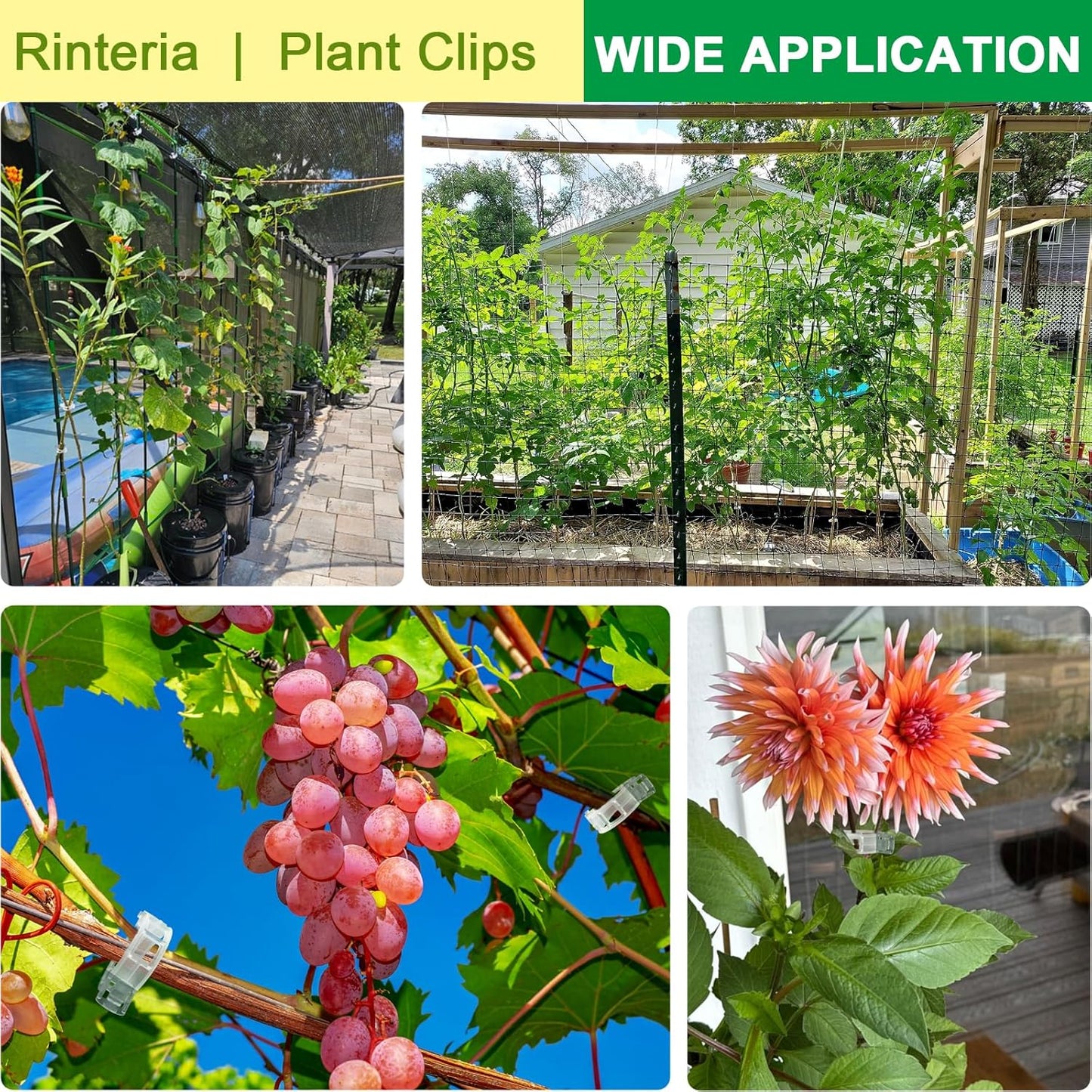 Tomato Clips - 100 Pack Clear Reusable Plant Support Clips for Climbing Vegetables & Vines