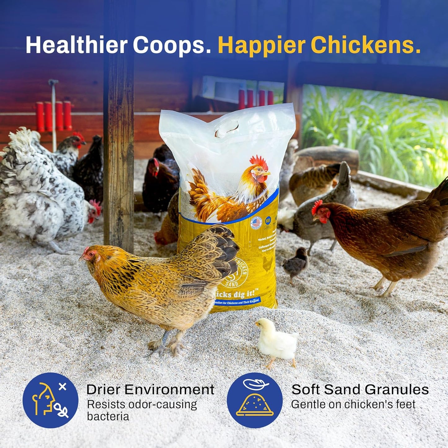 Premium Chicken Sand - Dust-Free, Odor-Control Bedding for Coops & Nesting Boxes | 50 lbs (8-Pack)